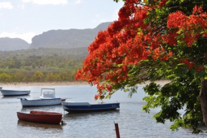 Investir Avec La Loi Pinel 2020 A La Reunion